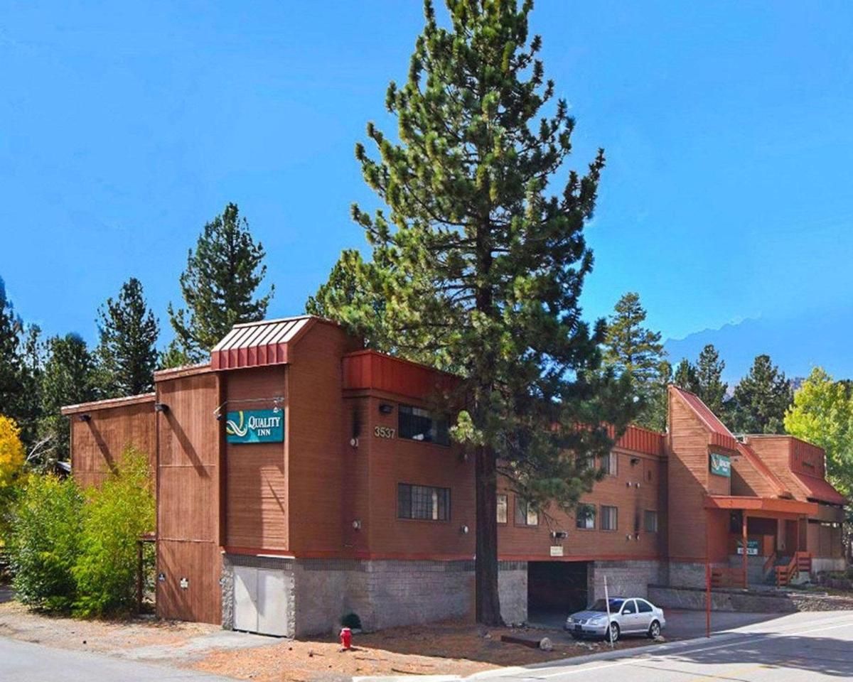Quality Inn near Mammoth Mountain Ski Resort - image 2