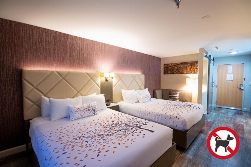 Empieria High Sierra Hotel - image 20