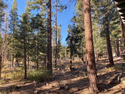 Cinnamon Bear Inn - image 11