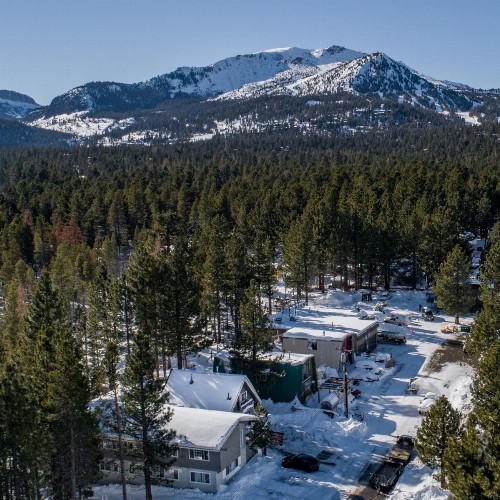 Cinnamon Bear Inn - image 17