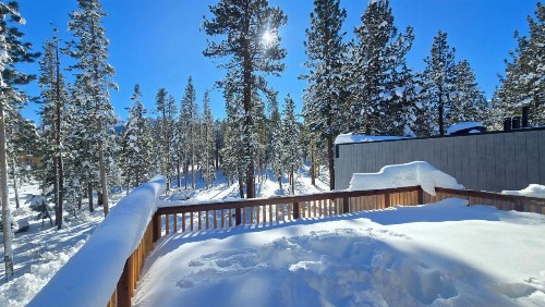 Cinnamon Bear Inn - image 27