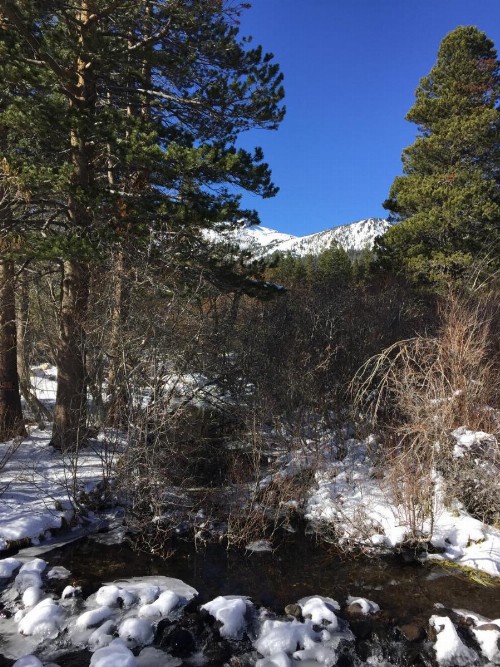 Edelweiss Lodge - image 10