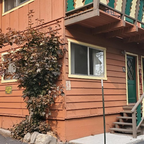 Edelweiss Lodge - image 17