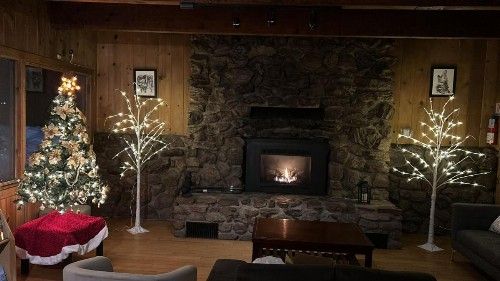 The Mammoth Inn - image 2