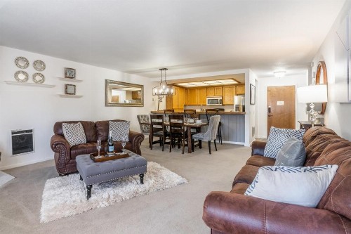 Mountainback 91 - image 9