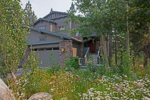 Timbers # 1033 - image 12
