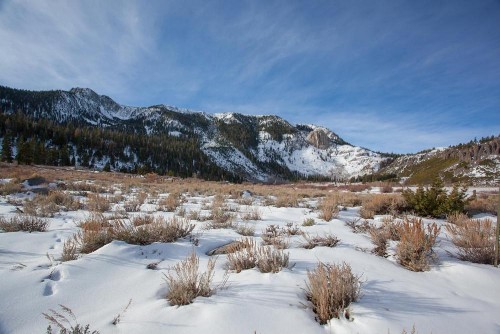 Snowcreek #754 - Phase V - image 30