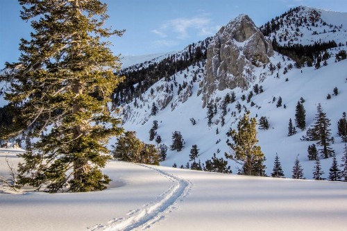 Eagle Run 206 - image 5