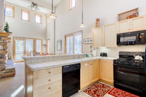 Mammoth Green Condos - image 3