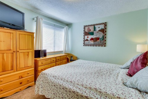 Timberline 35 - image 6