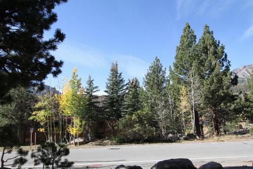 Summit 81 Apartment - image 21