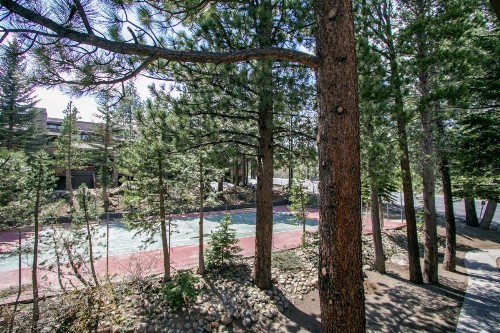 Mammoth Reservations - image 17