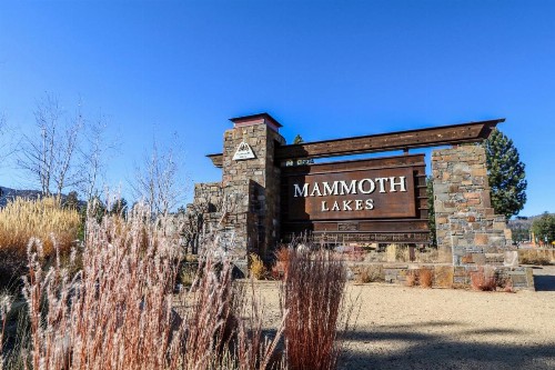 Mammoth Reservations - image 31