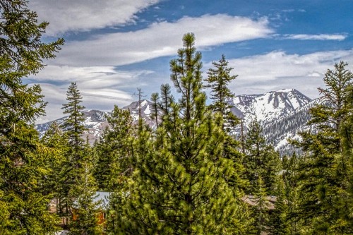 White Pines Mountain Lodge #7 - image 9