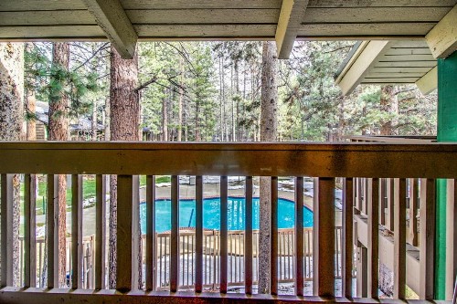 Sunshine Sanctuary - image 11
