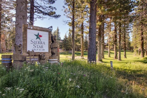 Sunshine Sanctuary - image 9