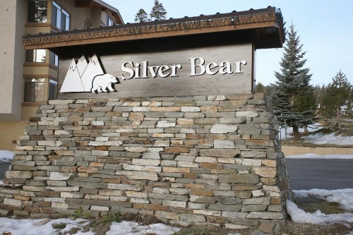 Silver Bear # 36 - image 2