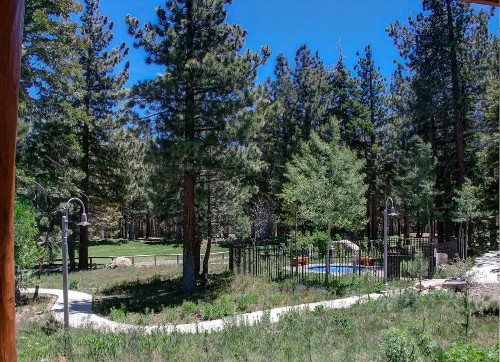 Cabins 13 - image 6