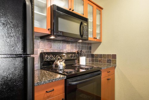 Village 2105 - image 17