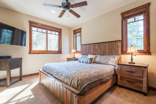 Gray Bear 514 - image 12
