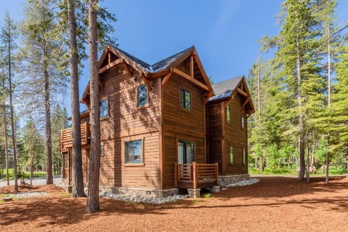 Gray Bear 514 - image 25