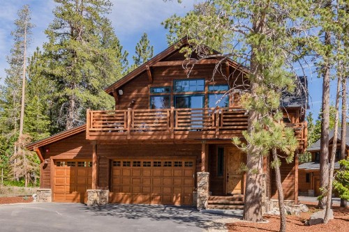Gray Bear 514 - image 26