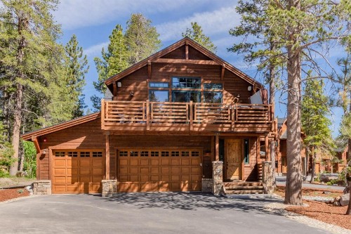 Gray Bear 514 - image 28