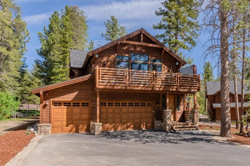 Gray Bear 514 - image 29