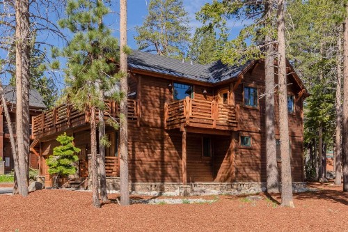 Gray Bear 514 - image 31