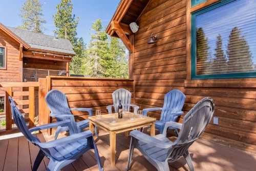Gray Bear 514 - image 33