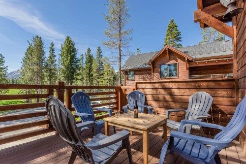 Gray Bear 514 - image 34