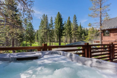 Gray Bear 514 - image 35