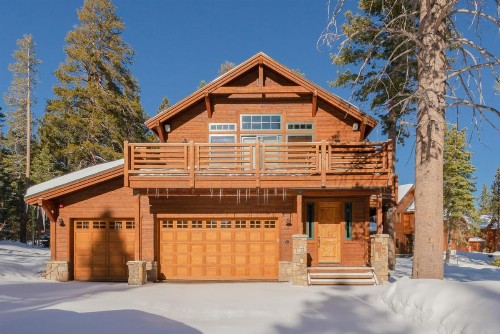 Gray Bear 514 - image 36