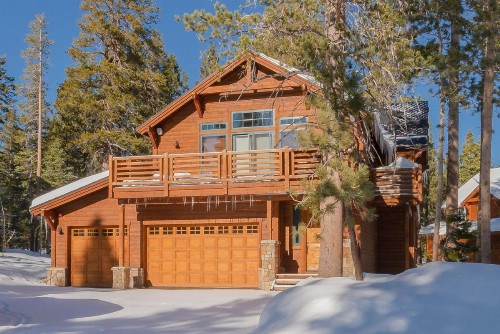 Gray Bear 514 - image 37