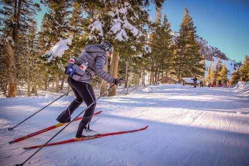 The Summit 207 - image 6
