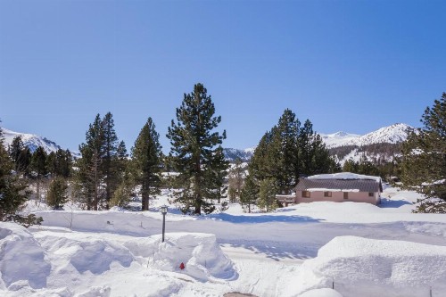 Mammoth Green # 105 - image 21