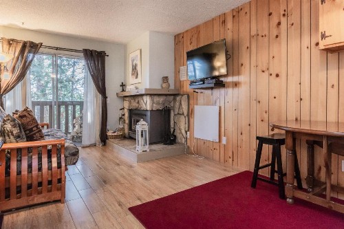 Mammoth View Villas # 34 - image 14