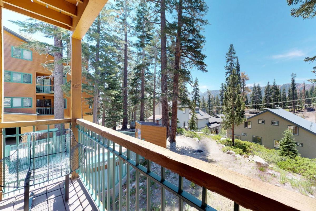 Mountainback 90 - image 3