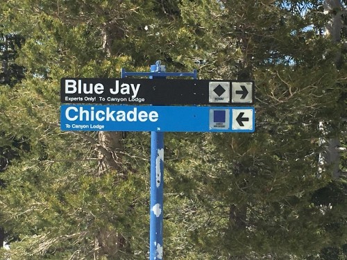 Blue Jay Chalet - image 11