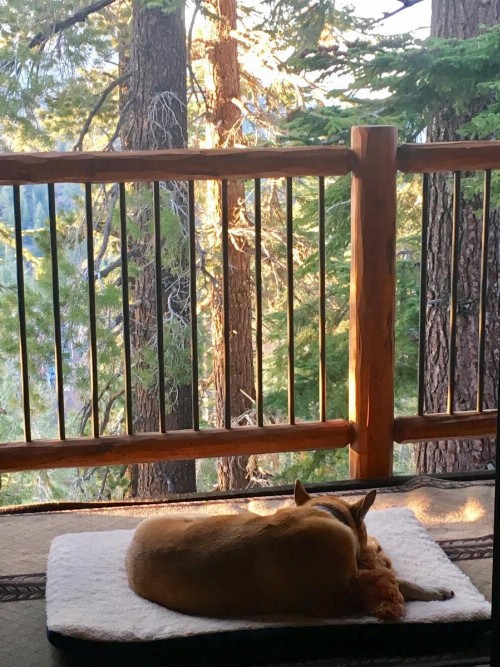 Blue Jay Chalet - image 7