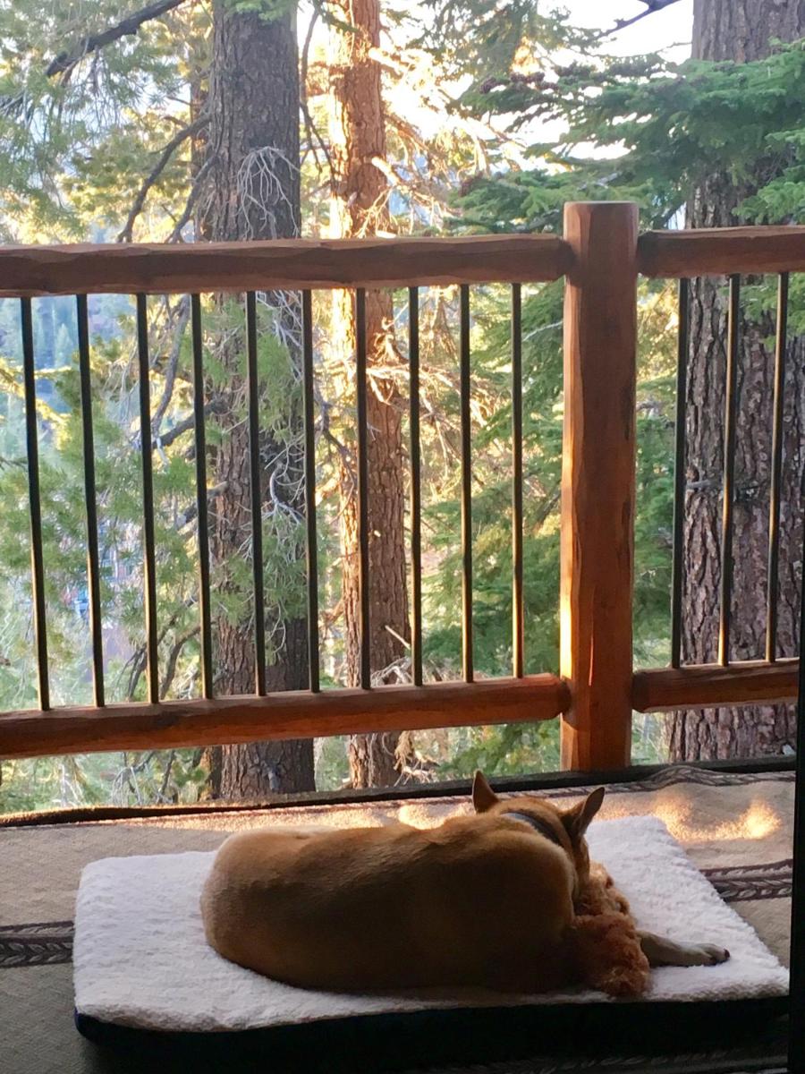 Blue Jay Chalet - image 7