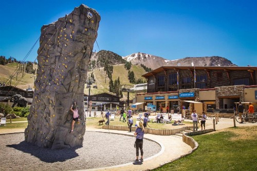 Mountainback 47 - image 8