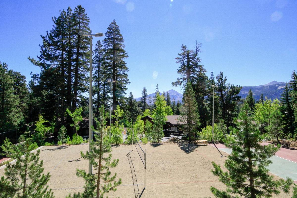 Mammoth Ski & Racquet Club #64-Pet! - image 6