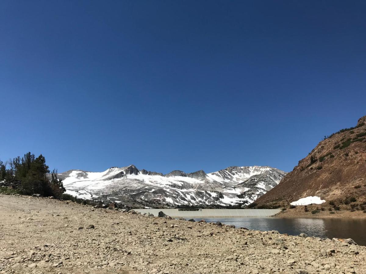 Mountainback #33 Den - image 2