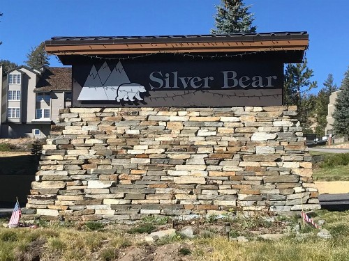 Silver Bear #40 - image 14