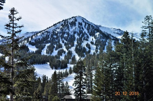 Mammoth Ski & Racquet Club #38 - Pet Okay - image 2