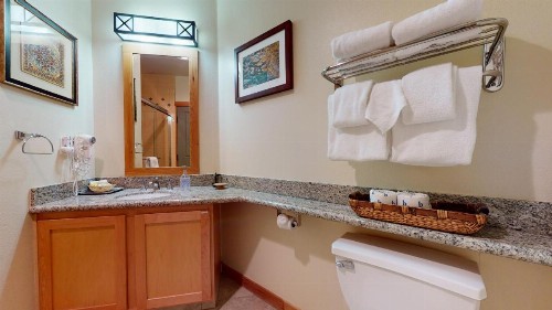 Juniper Springs Lodge #539 Condo - image 3