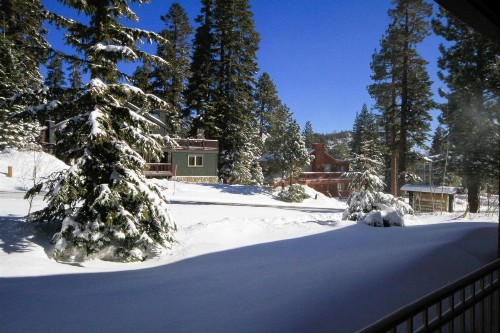 Mountainback 062 - image 7