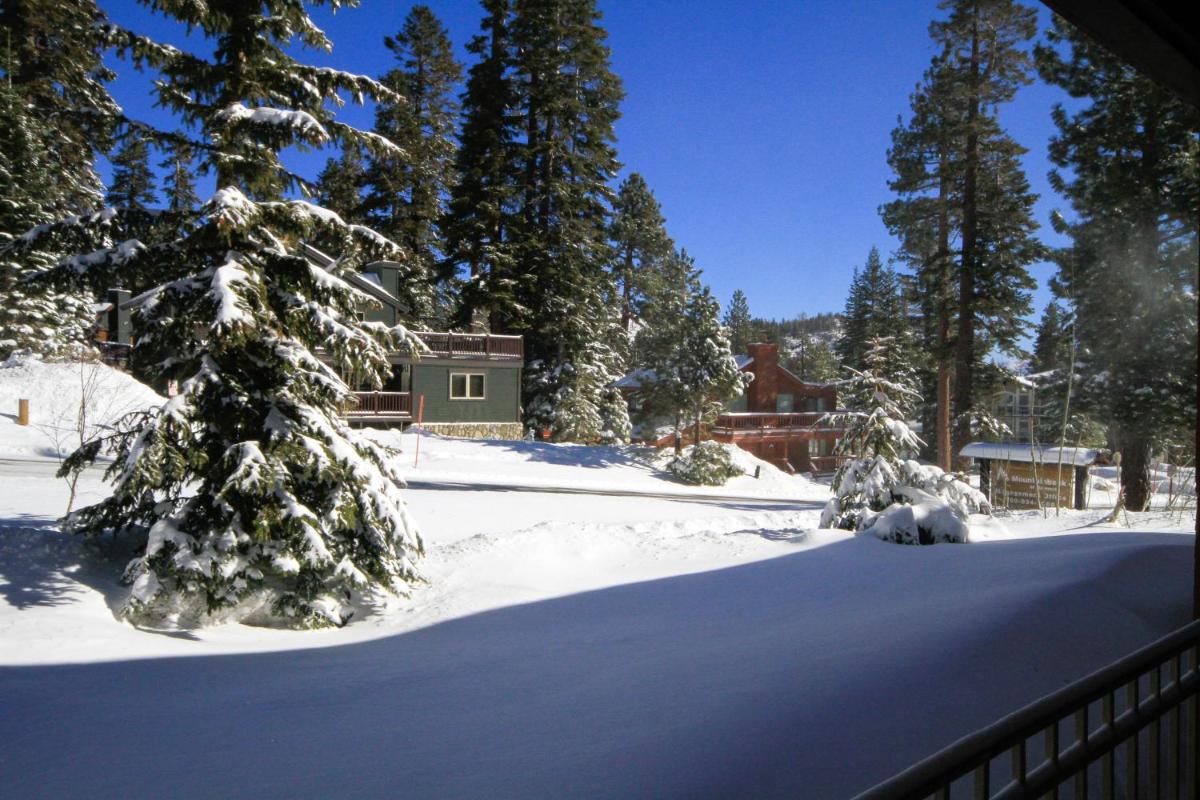 Mountainback 062 - image 7