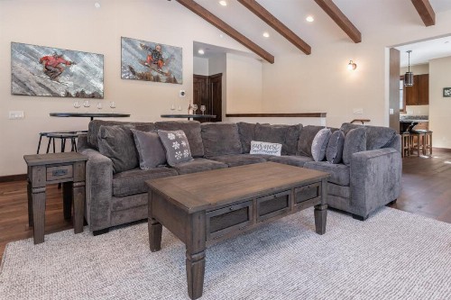 Gray Bear 454 - image 18